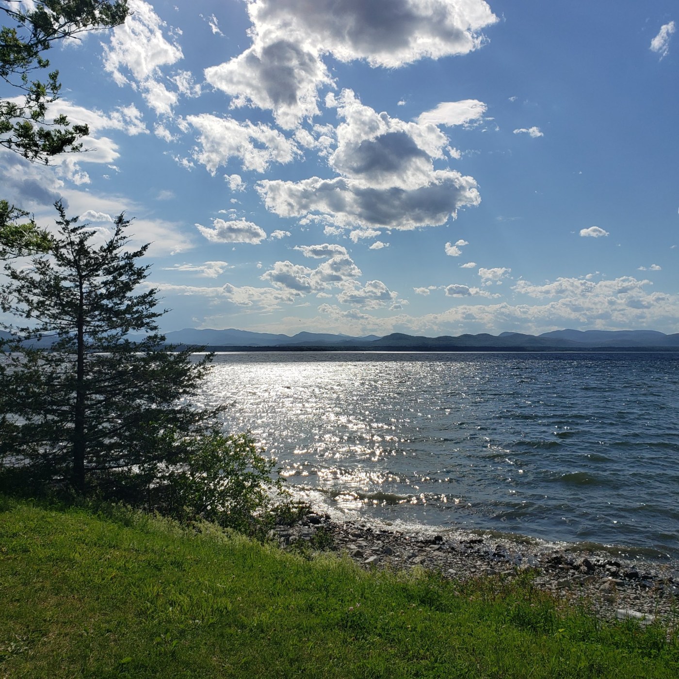 Lake champlain from the shore.